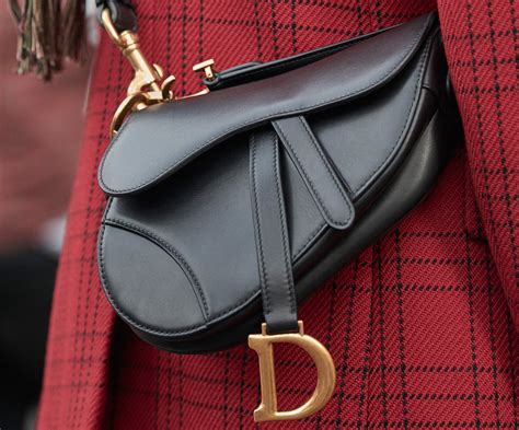 lady dior or saddle bag|Dior saddle bag price guide.